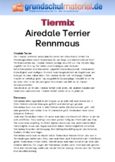 Airedale Terrier - Rennmaus.pdf